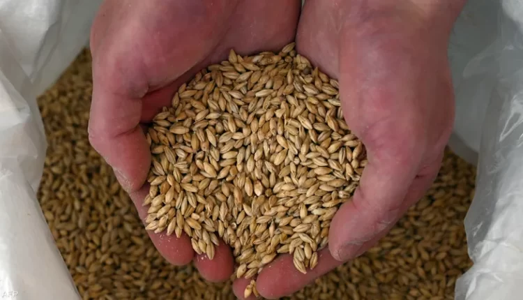 روسيا تقوم بتقديم شحنات حبوب مجانية إلى إفريقيا.