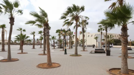 الدوحة.. مدينة العيون تفوز بجائزة المدينة المستدامة والمرنة ضمن جوائز منظمة المدن العربية