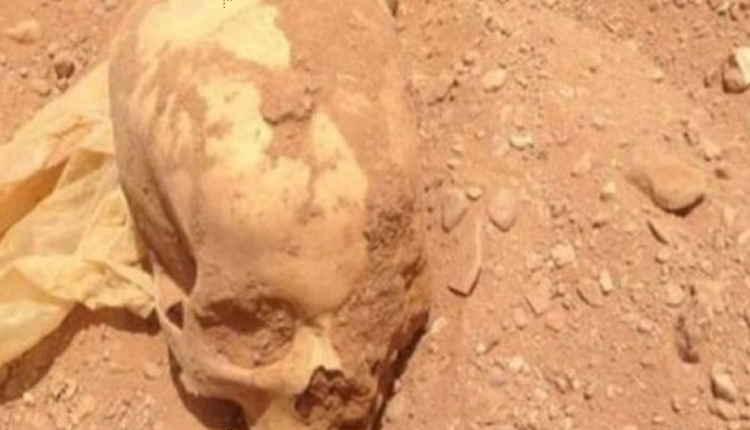العثور على جمجمة إنسان في أرض فلاحية بالحسيمة