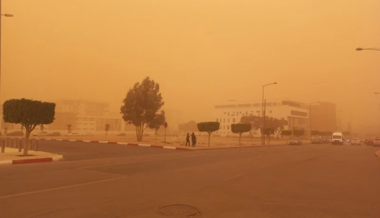 نشرة إنذارية
