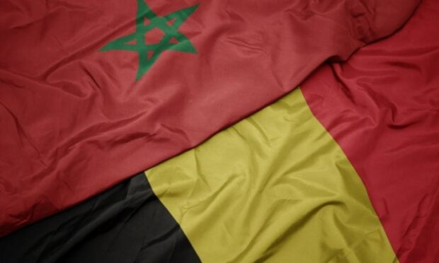 بلجيكا تجدد دعمها لمخطط الحكم الذاتي بالصحراء المغربية