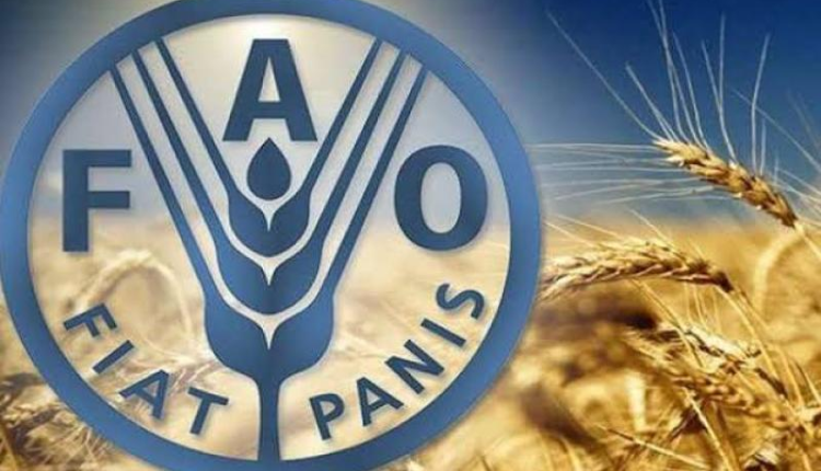 الفاو: المغرب نموذج رائد في مجال تحويل النظم الغذائية والزراعية