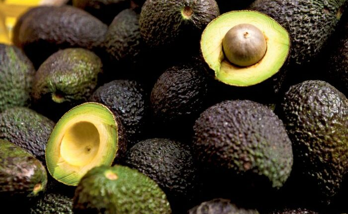 رغم الجفاف.. المغرب يرسل أول شحنة "أفوكادو" إلى جورجيا