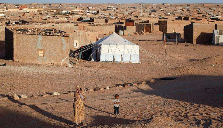 Le “polisario” impose un “régime de terreur” dans les camps de Tindouf (Universitaire espagnol)