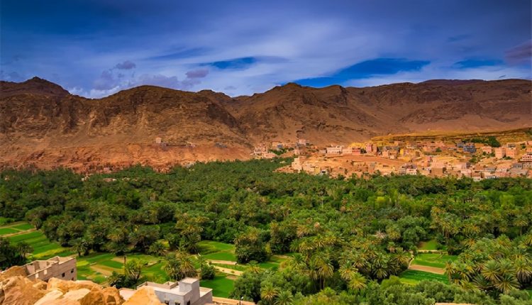 إقليم زاكورة