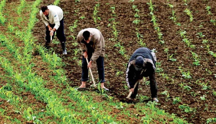 المديرية الجهوية للفلاحة فاس