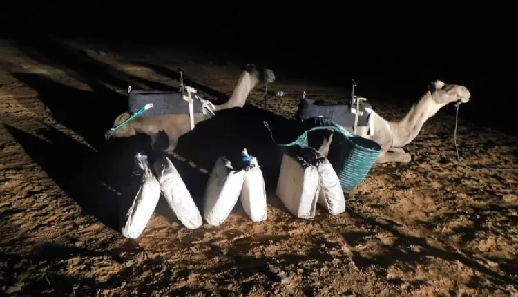 الصحراء المغربية