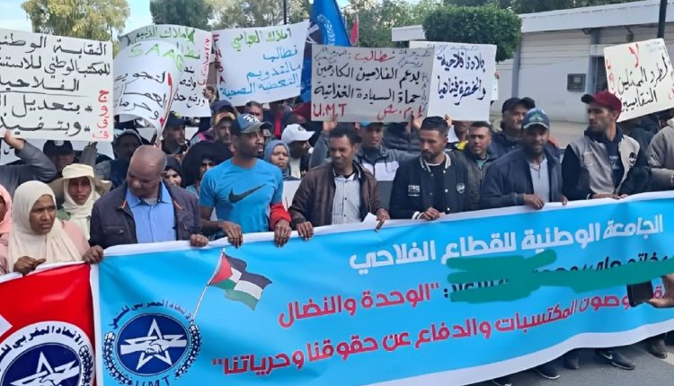 المكتب الجهوي للجامعة الوطنية للقطاع الفلاحي بالجهات الجنوبية