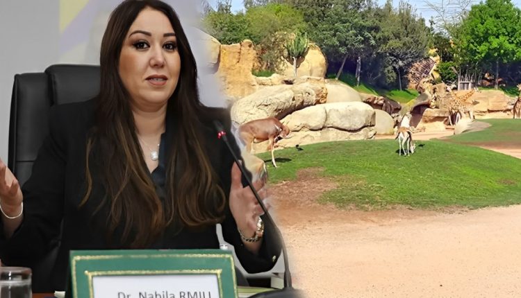 حديقة الحيوانات عين السبع