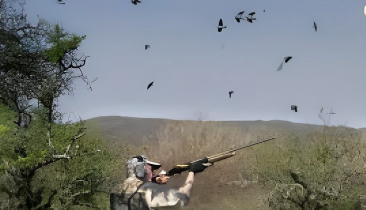 محمية طبيعية