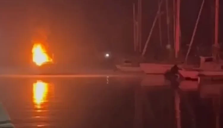 مارينا أكاير