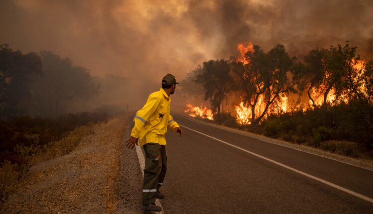 الوكالة الوطنية للمياه والغابات
