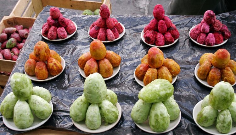 فاكهة الكرموس الهندي (التين الشوكي)