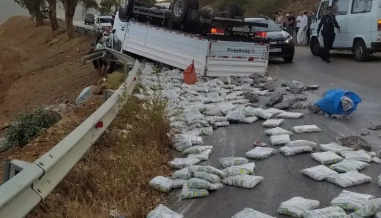 عدسة فكري ولدعلي