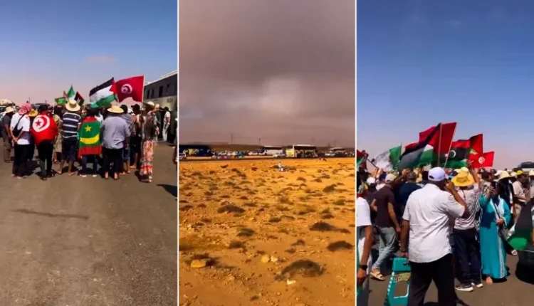 "قافلة الصمود"