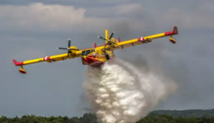 سلطات جهة فاس-مكناس تعلن حالة التأهب القصوى لمواجهة حرائق غابوية محتملة