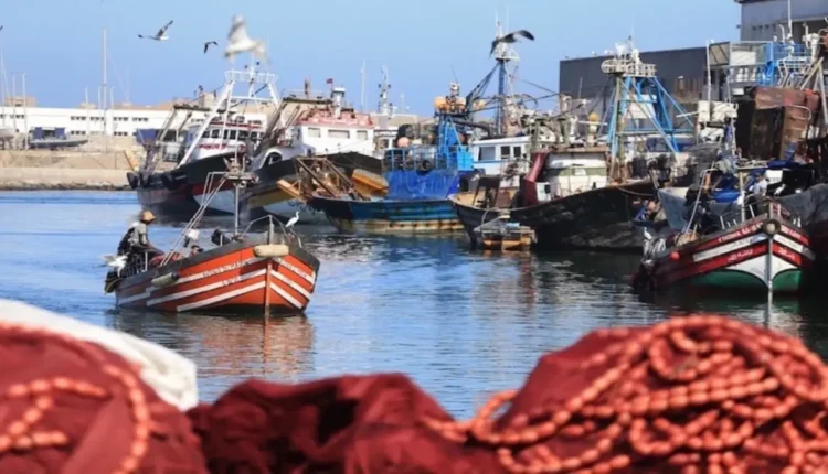 الجديدة: مهنيو الصيد التقليدي والطحالب يقررون الإحتجاج يوم غد الخميس