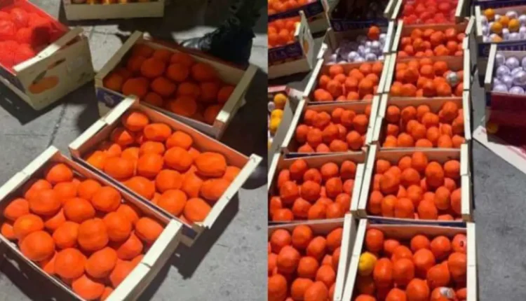 إحباط محاولة تهريب ممنوعات بميناء طنجة المتوسط