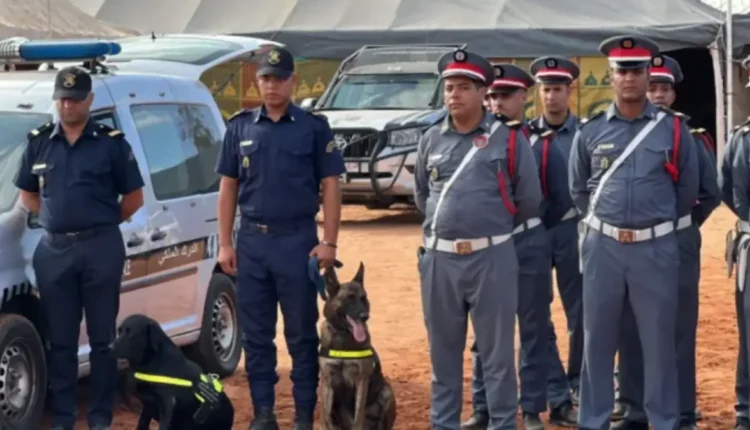 الدرك الملكي في سيدي اسماعيل يستعيد 220 ألف درهم في عملية خاطفة