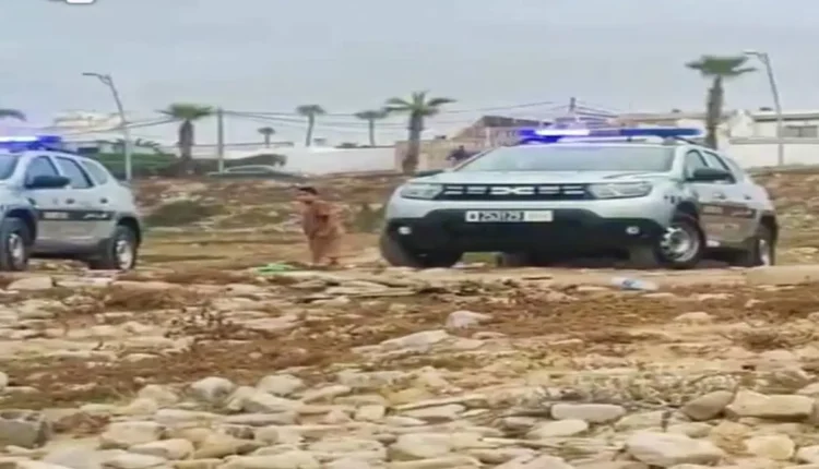 وزان...الدرك الملكي يحبط عمليتي تهريب للمخدرات