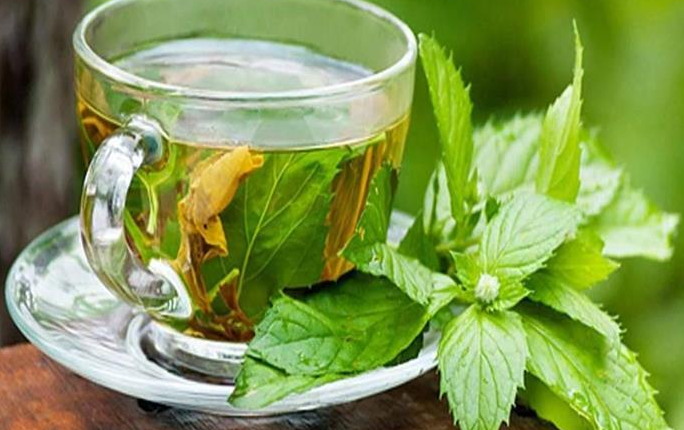 شاي النعناع