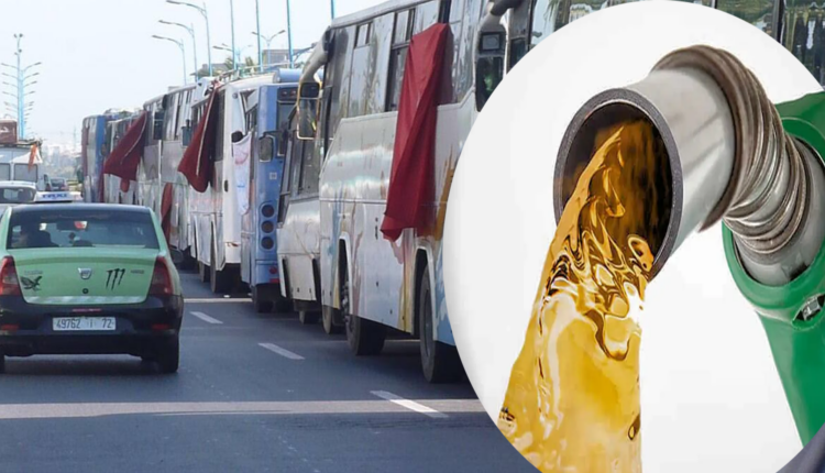 المغرب: إطلاق دفعة جديدة من دعم مهنيي النقل