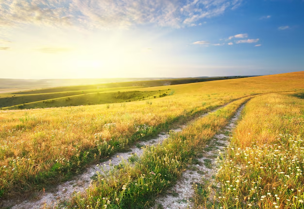 توقعات الطقس بالمغرب ليوم الاثنين