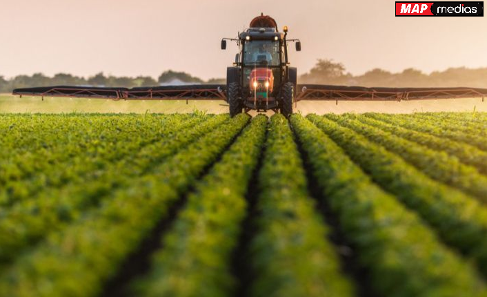 التساقطات المطرية تعيد الأمل للفلاحين في المغرب وترفع توقعات محصول الحبوب وتحسن جودة الإنتاج الزراعي.