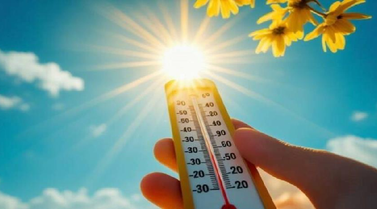 هل ترتفع درجات الحرارة بمدينتك؟